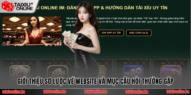 Giới thiệu sơ lược về website và mục câu hỏi thường gặp