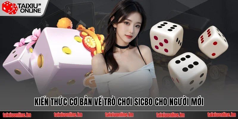 Luật chơi game tài xỉu online và các cửa cược cơ bản