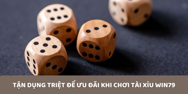 Tận dụng triệt để ưu đãi khi chơi tài xỉu Win79